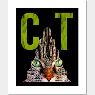 CAT - 22 Posters and Art